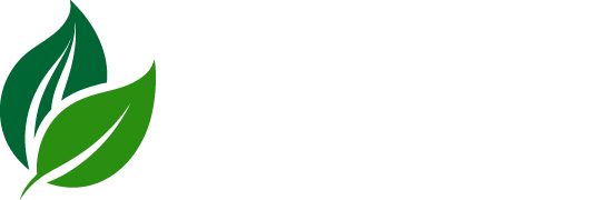 Kambium.pl